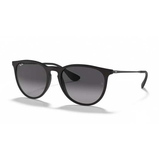 Ray-Ban Erika Classic