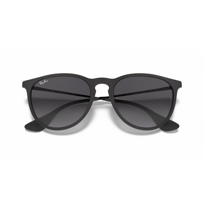 Ray-Ban Erika Classic